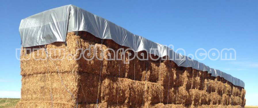 Lona de PE PE Tarpaulin