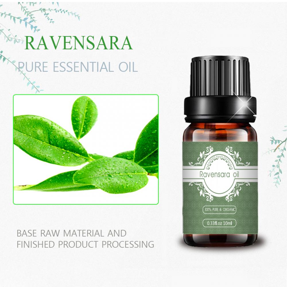 Factory supply 100%pure top Grade Ravensara essential oil