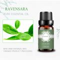 تأمین کارخانه 100 ٪ خالص درجه یک روغن اسانس Ravensara