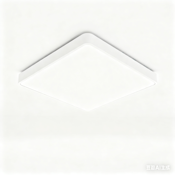 Modern LED Ceiling Light