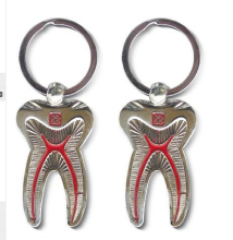 Dental Promotion Molar Key Chain