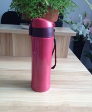 stainless steel thermo flask