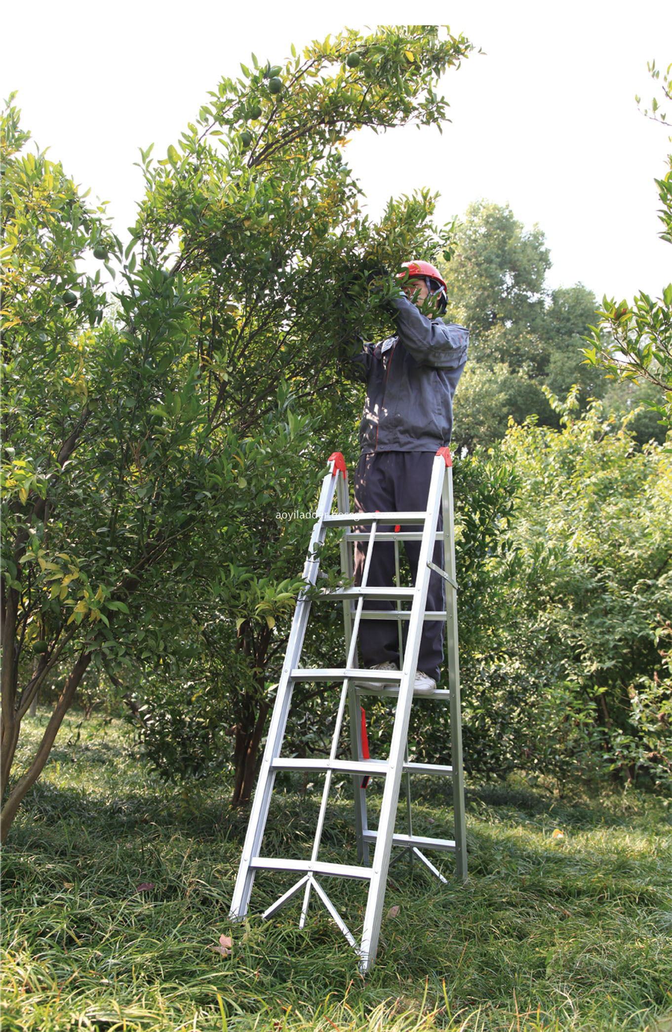 Aluminum stick step ladder 