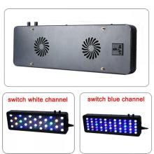 165w Aquarium Light Coral Reef Each Day 2022