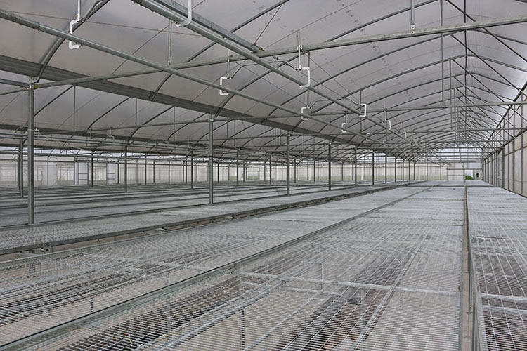 Multi-Span-Greenhouse