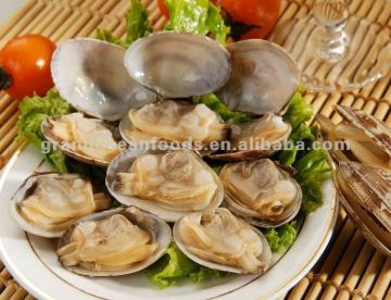 Baby clam with shell vacuum packing