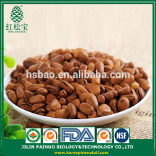 Constant Supply Well Packaged Gift Open Pine Nuts in Shell