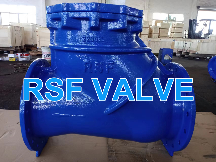 Ball Check Valve Rsf 1 Jpg