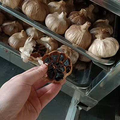 black garlic making process