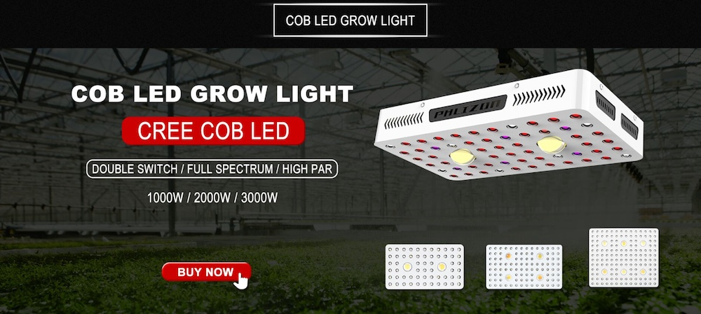 Cob Led Light