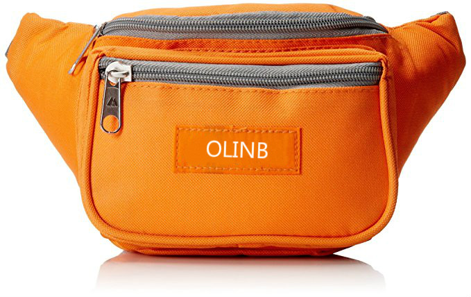Fanny Packs Pour Les Femmes 5 Fanny Packs For Women 5