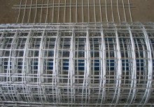 PVC Coated Welded Wire Mesh Highway Fence