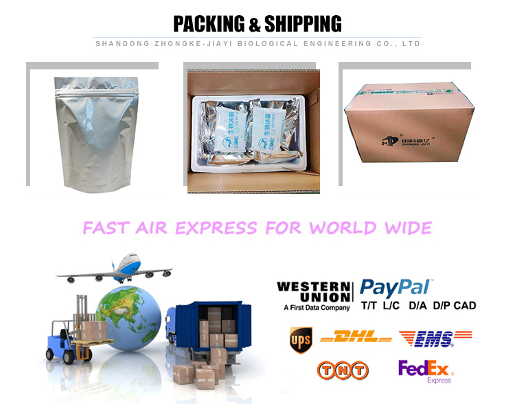 Shandong zhongke oem bulk probiotic powder