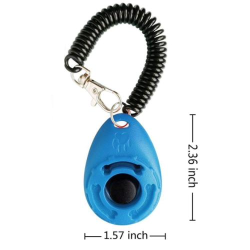 Train de chien Clicker avec bracelet