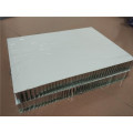 Paneles de panal de aluminio de 50 mm