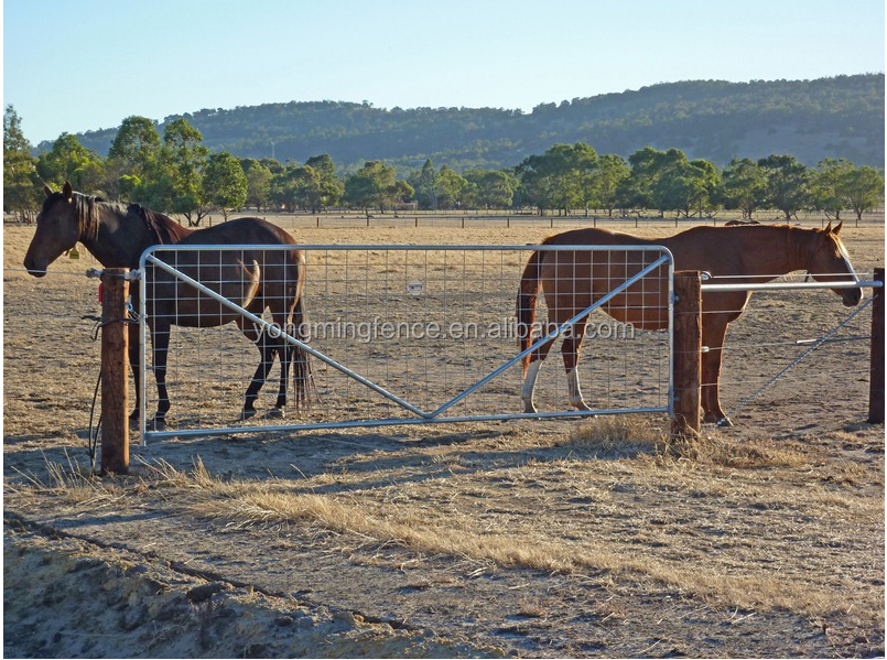 12ft N Braced Hinges Farm Gate with Latch