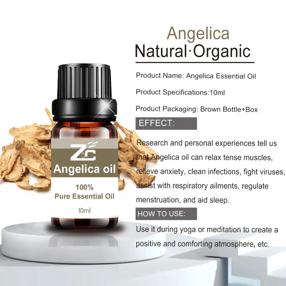 100% czystego naturalnego olejku eterycznego Angelica do aromaterapii