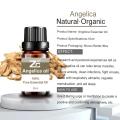 Óleo essencial de Angelica Natural 100% puro para aromaterapia