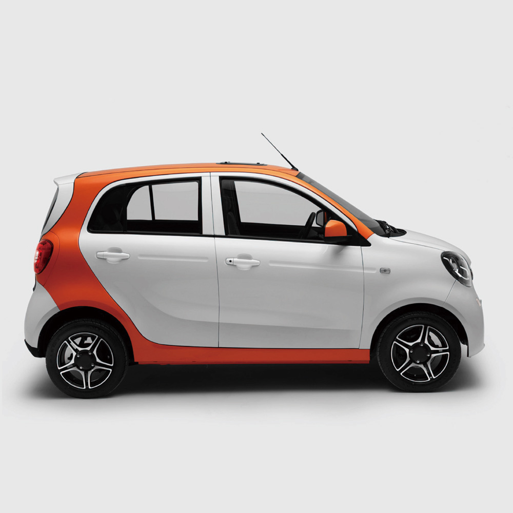 New High Speed Electric Vehicle Without Driving Licence