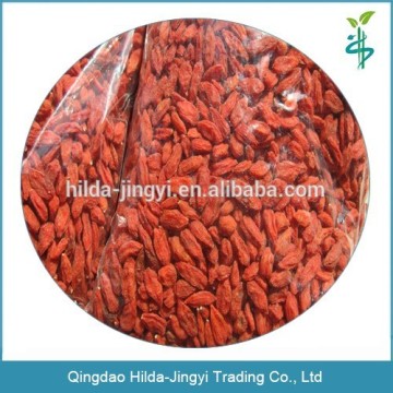 Organic goji berries wholesale