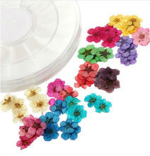 Nail suppliers for nail art dry flower 3D nail art decorations