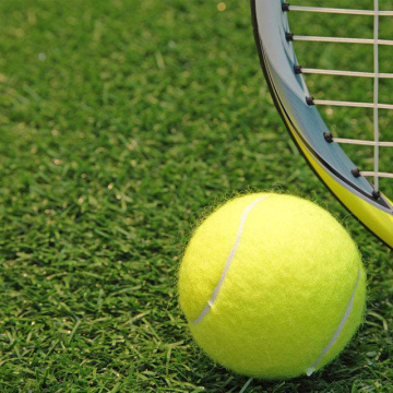 Gazon artificiel extérieur utilisé pour le court de tennis