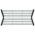 Led Grow Light for Greenhouse Grow Tent