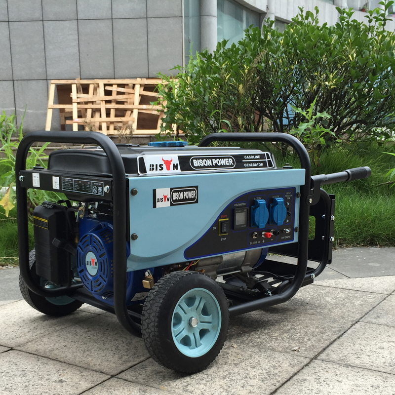 BISON(CHINA) Factory Price Of 1kva 2kva 3kva 4kva 5kva Gasoline Generator Prices