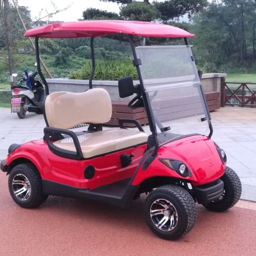 Hot Sale elektrische mini golf cart
