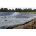 Textured Surface HDPE LDPE LLDPE Geomembrane Liner Price