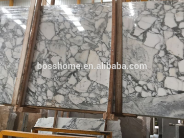 Italian Arabescato white marble