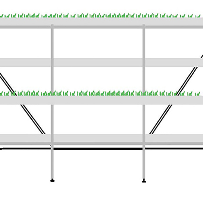 Large Scale Hydroponic Microgreen Rack