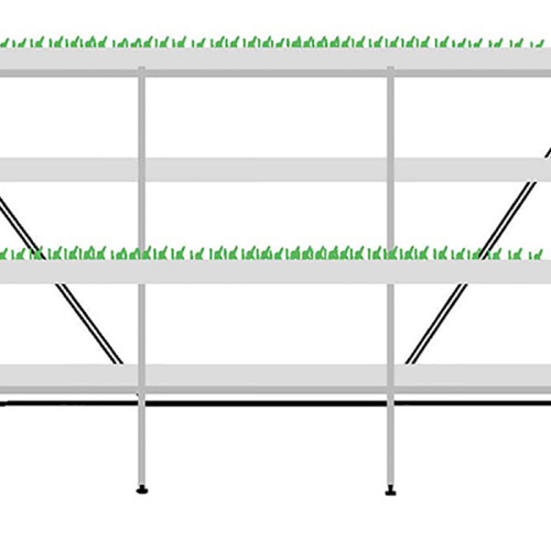 Cremalheira Hydroponic Microgreen de grande escala