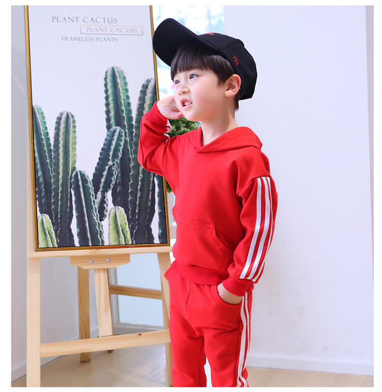 Spring and Autumn Children's Clothing 2pcs 100% Cotton Kids Leisure Sets