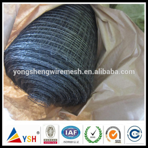 Woven Iron Wire /Black Square Wire Cloth(China Manufacturer)
