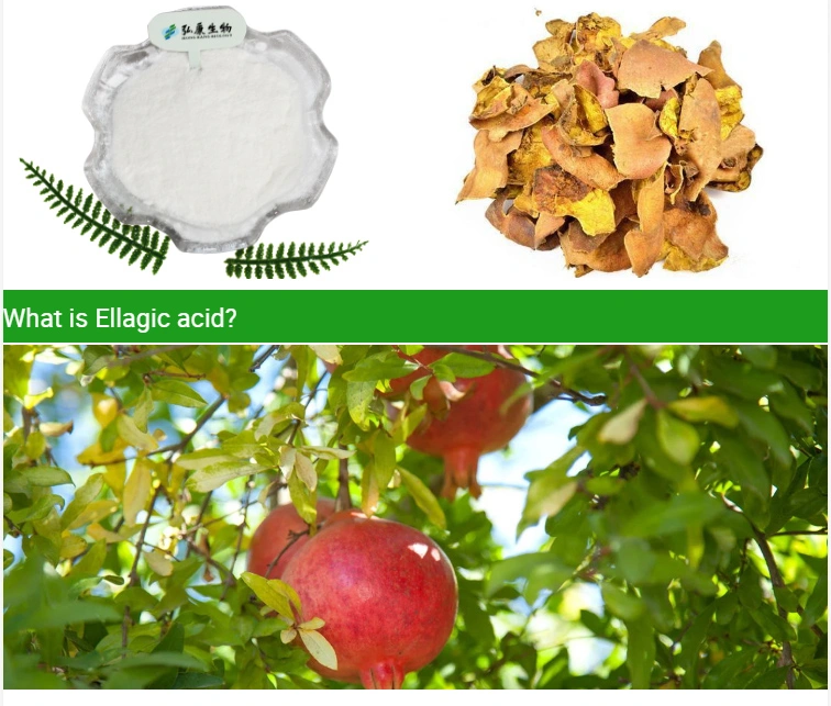 Factory Supply 95% 98% 99% Pomegranate Extract Ellagic Acid Powder