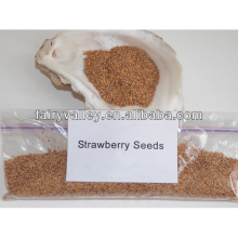 Organic Red/Black/White Strawberry Seeds For Field Cultivation Bonsai Strawberry Seeds