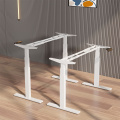 Ergonomic Electric Desk Height Adjustable Office Desk