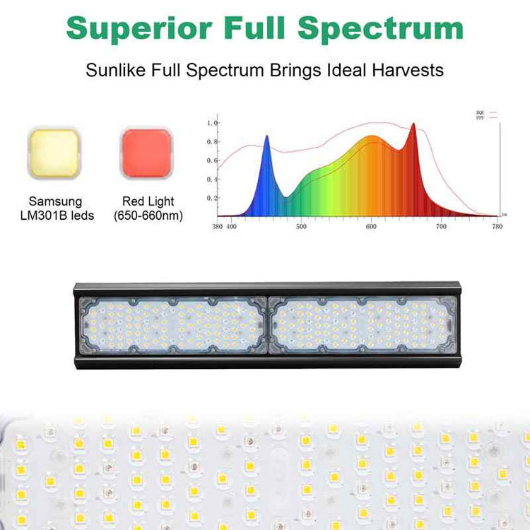 La migliore pianta a led coltiva il sepctrum pieno di luce al coperto