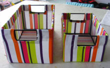 Printed stripes canvas case