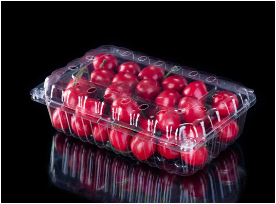 Recipiente de plástico transparente com frutas para animais de estimação para Walmart