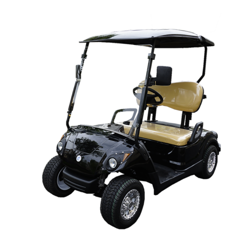 2 Sitze ezgo Lithiumbatterie Powergolfwagen