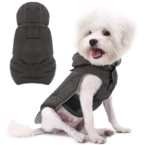 Manteau de chien chaud chaud