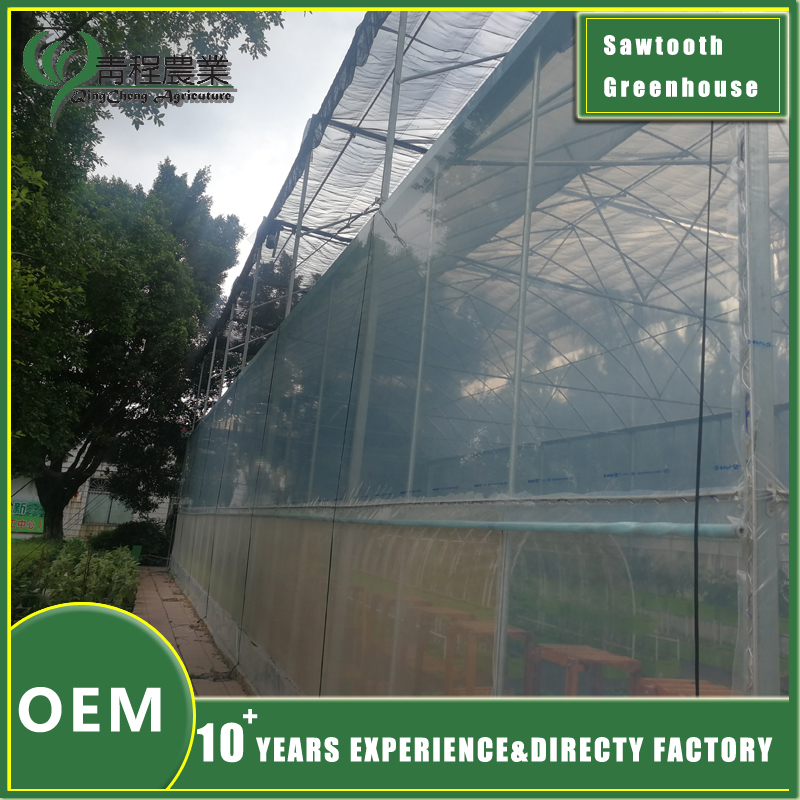 однопанельный пилообразный шклярніцу single panel sawtooth greenhouse