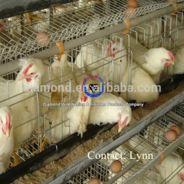 Africa Cheap Semi-automatic Metal Egg Layer Hen Coop for sale