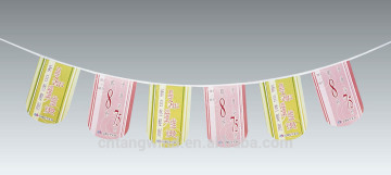 Promotion Decorative PE National Flag (TW-F020)