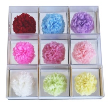 Handmade Preserved Carnations in Acrylic Box