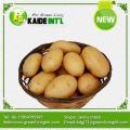 Patate fresche a buon mercato appetibile