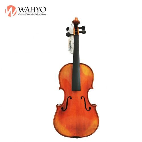 Meistere fortgeschrittene professionelle Streichinstrumenten-Viola