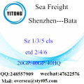 Trasporto del porto del porto di Shenzhen a Bata
